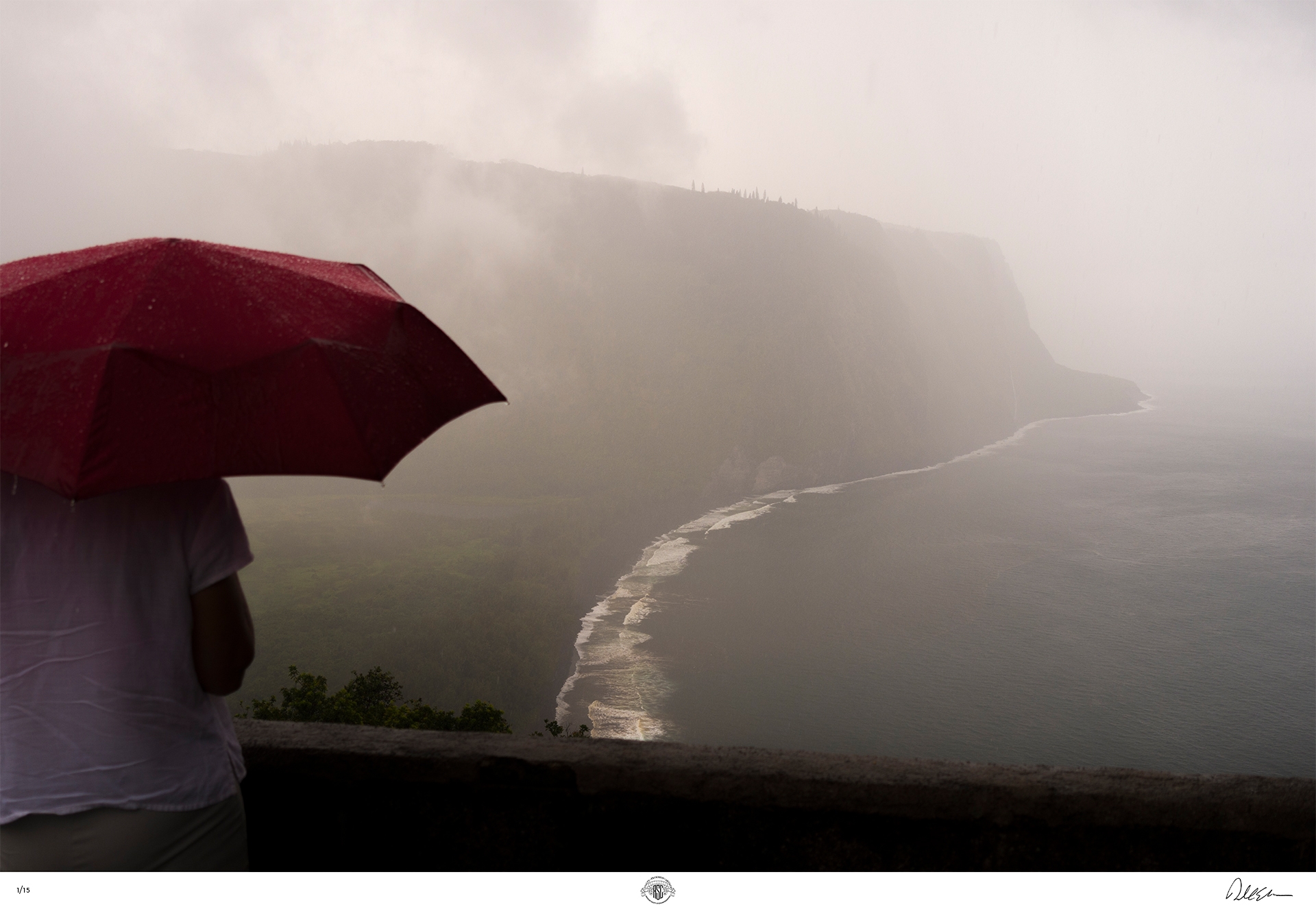 13 Elmes Woman with Red Unbrella Hawaii 2015 Leica X Vario 18mm copy