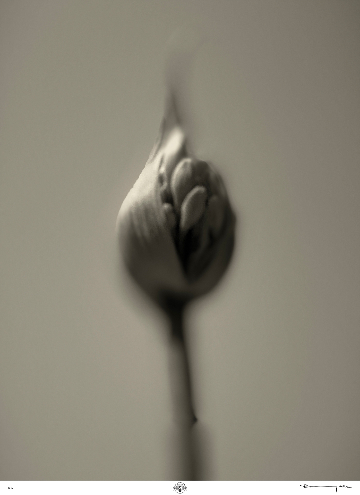 2 Bokelberg Birth 2025 i Phone 14 Pro using Leica LUX app Summilux 90mm f1 5 ASPH copy