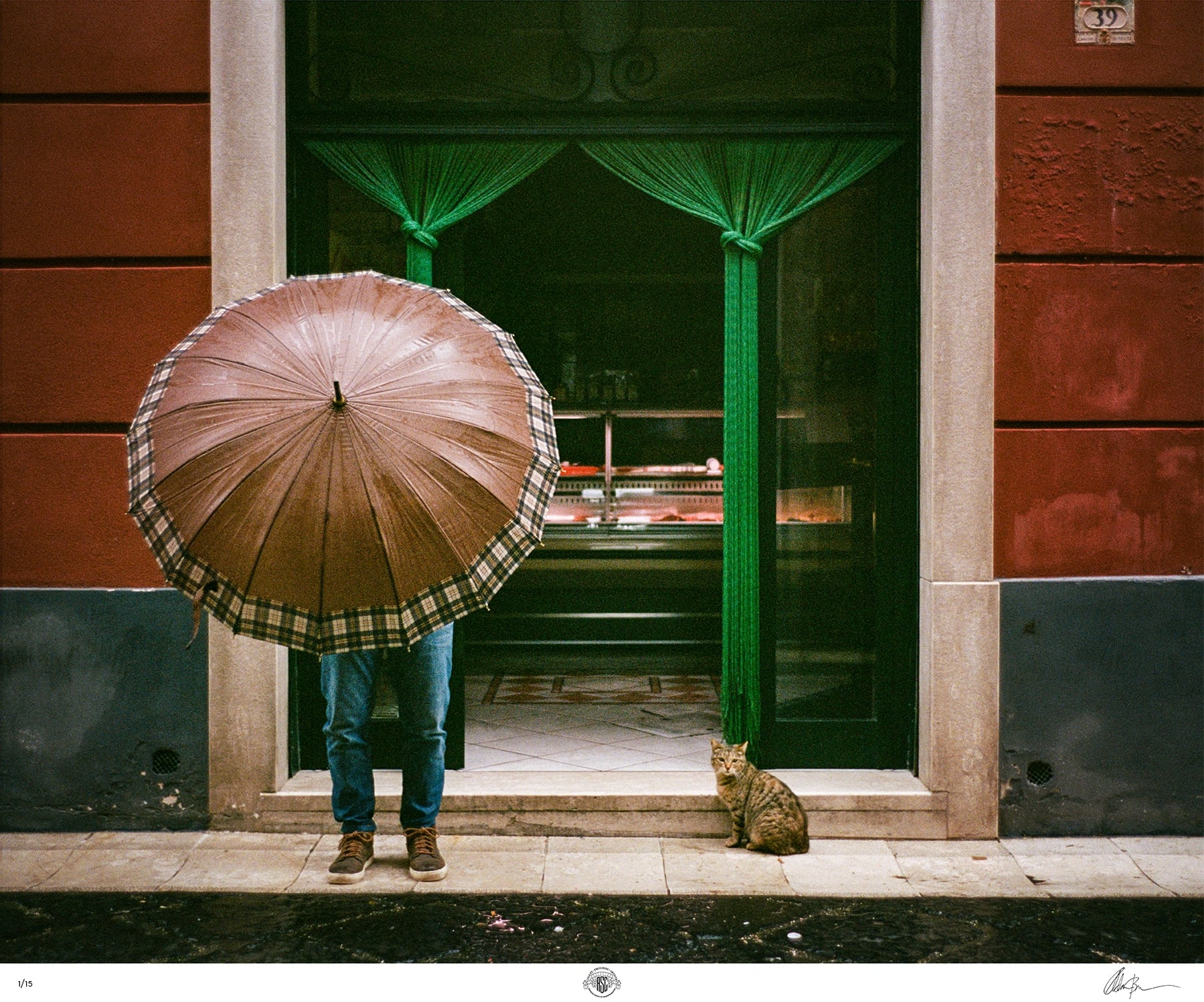 3 Bricker Cat of Caiazzo Italy March 2025 Leica M P Leica Summilux 35 Steel Rim Kodak Portra 160 copy