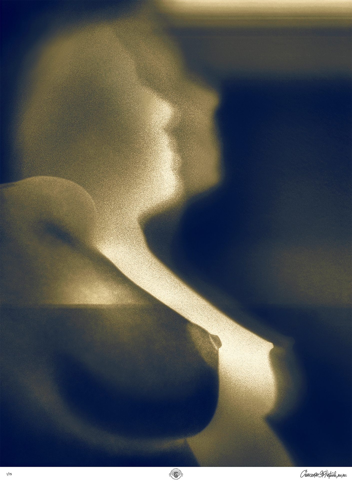 37 Notarile Form w Multiple Shadows 2008 Canon Power Shot G9 copy