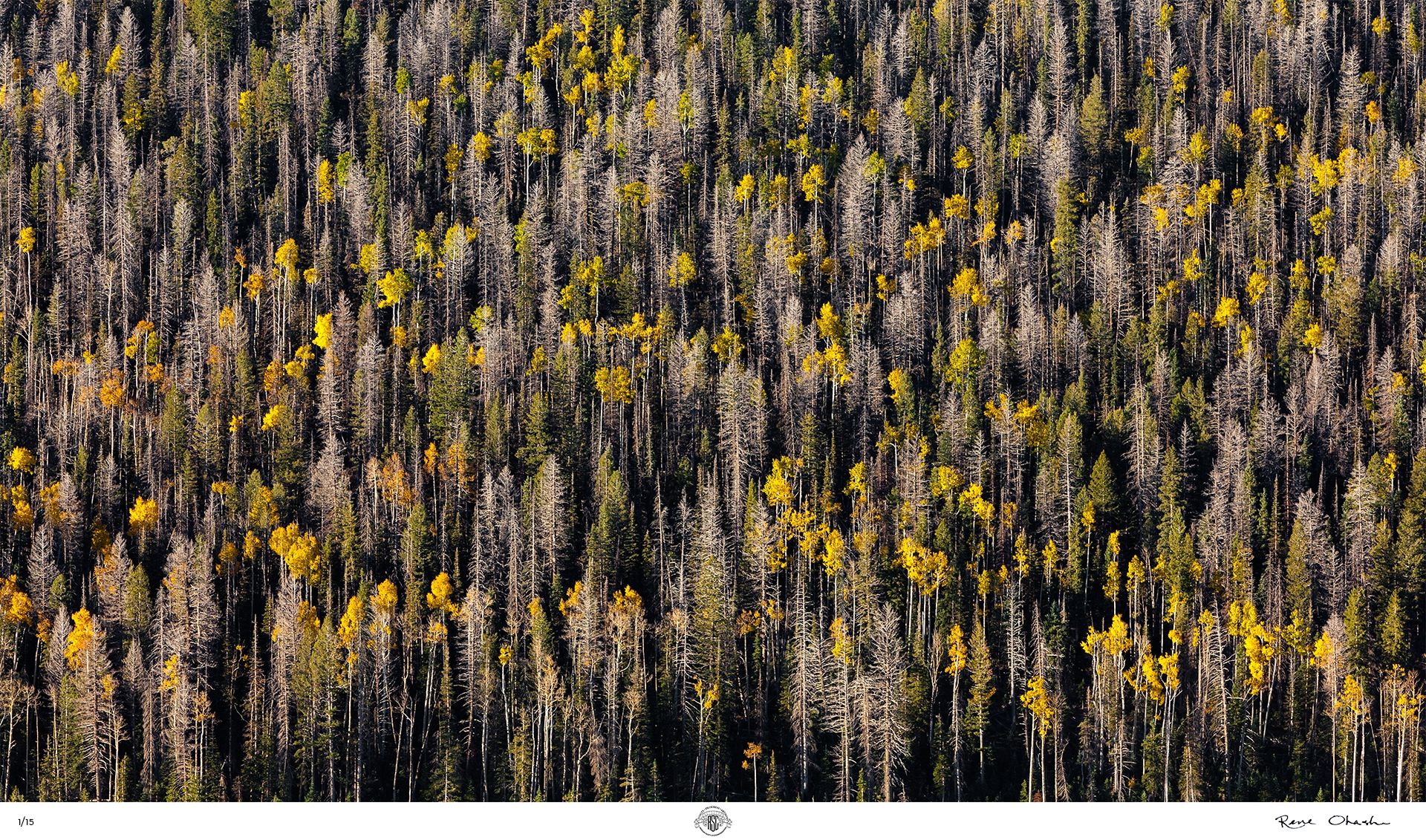 38 Ohashi Navaho Lake Utah 2013 Canon EOS 5 D Mark II Canon EF 70 200 f2 8 175mm copy