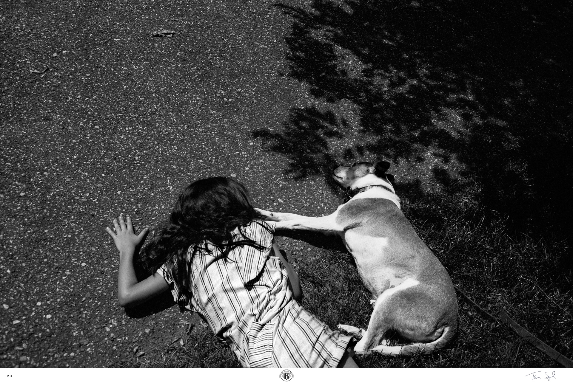 45 Segal Tari Grounded 2024 Canon AE 1 35mm Ferrania P30 filmstock copy