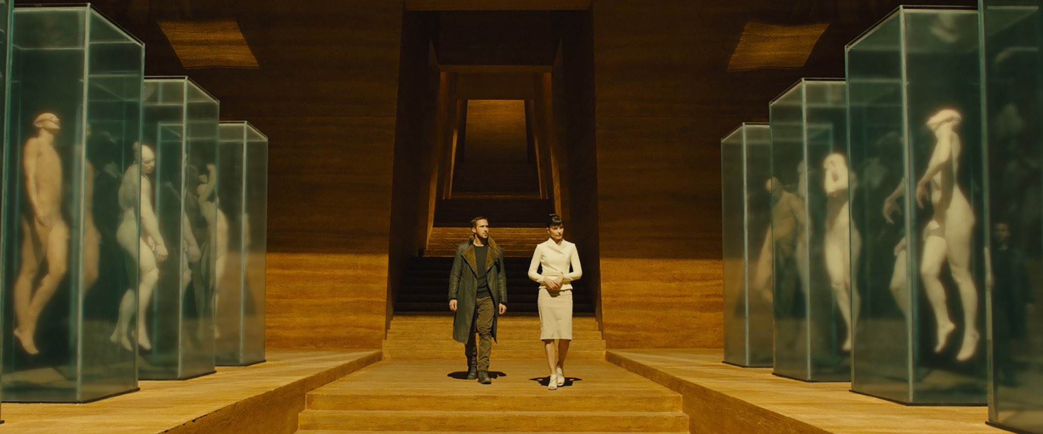 Blade Runner 2049 Br Cc 1072R Crop