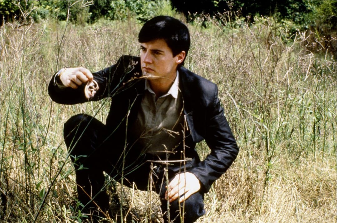 Blue Velvet's 10 Weirdest Moments