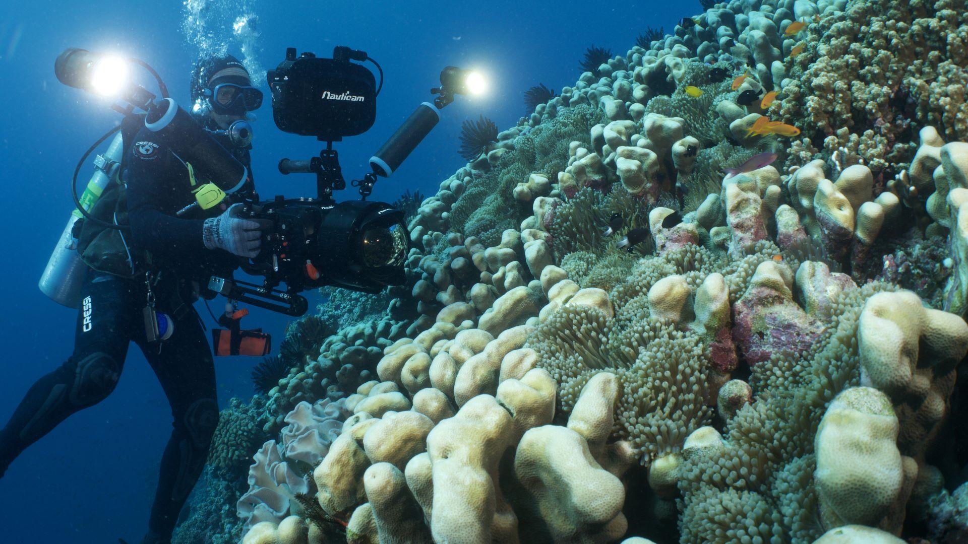 DoP Adam Geiger filming scenics on the Great Barrier Reef Photo Stuart Ireland