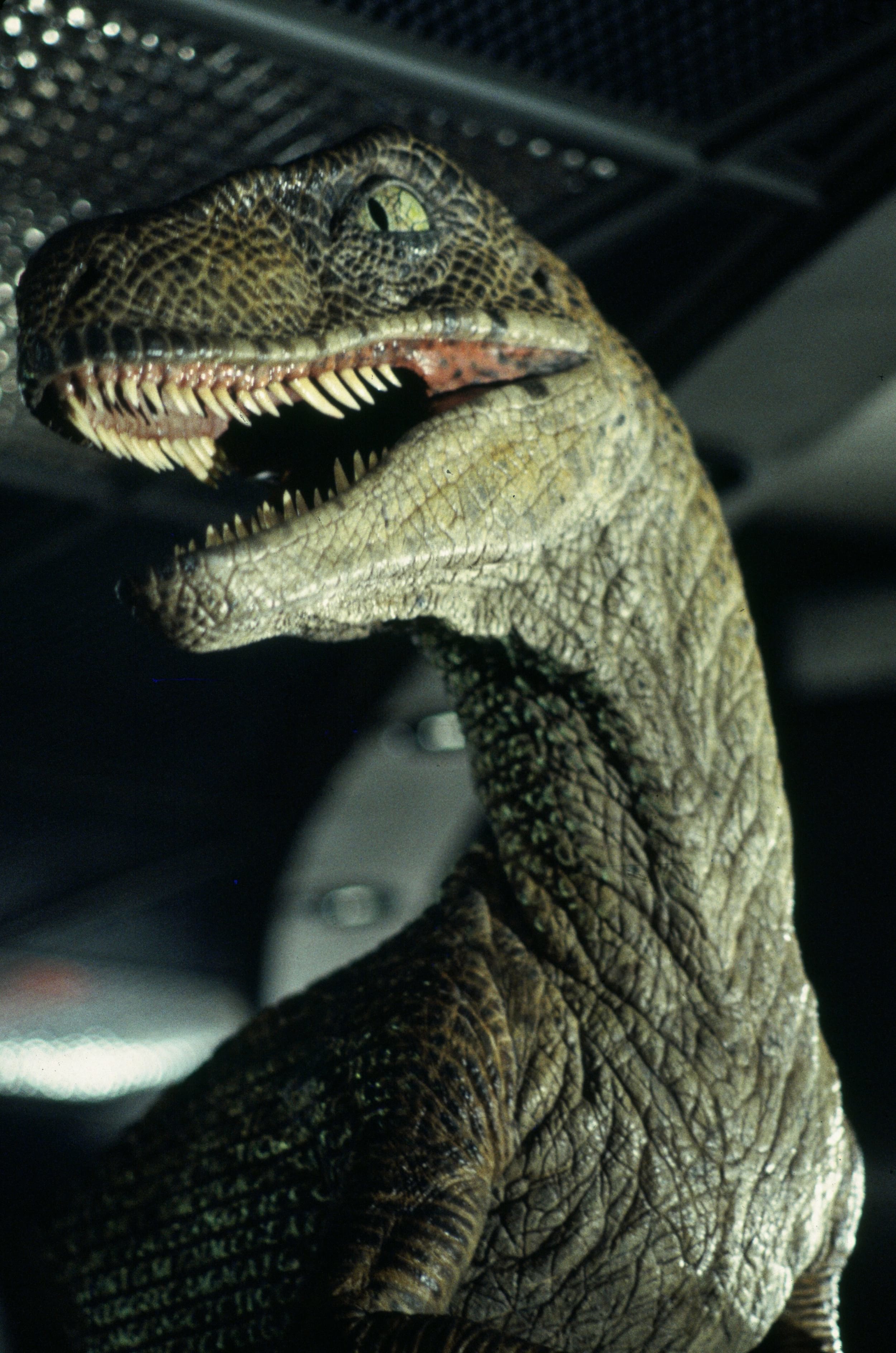 Jurassic Park's Epic T-Rex Ending Almost Didn't Happen. Why That Changed