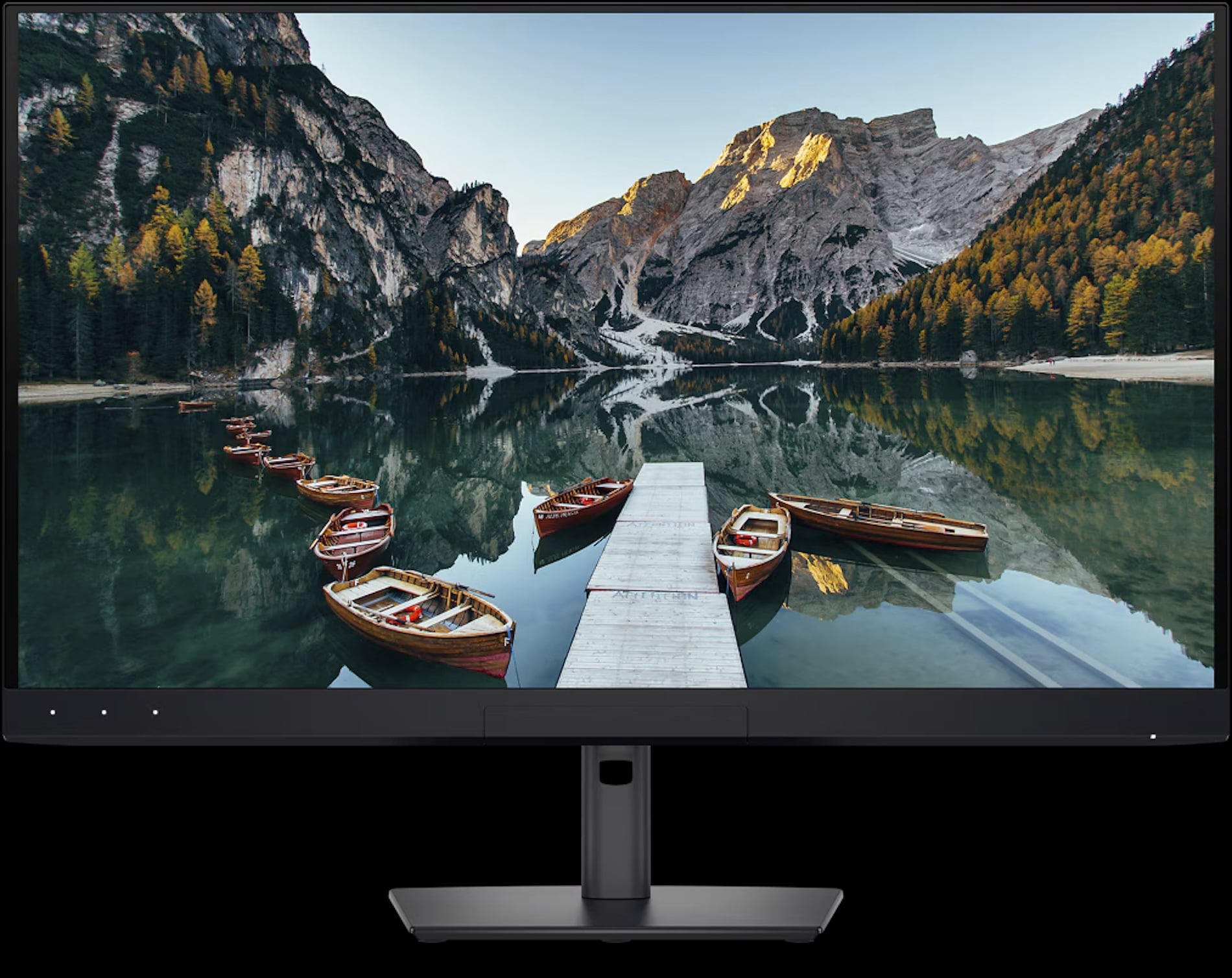 NP Portrait Displays Dell Monitor