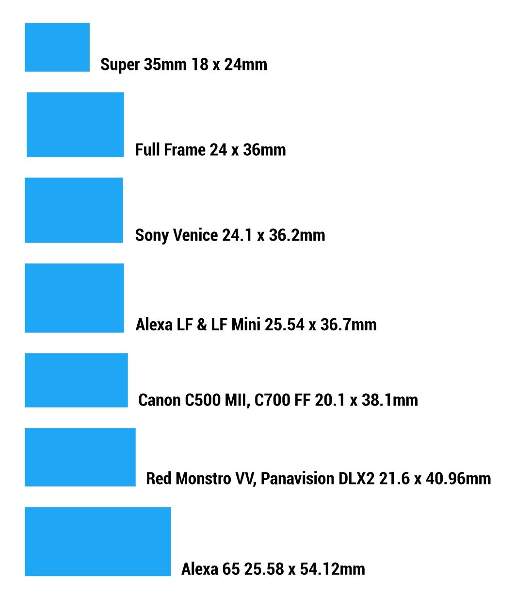 Shot-Craft-3-Shot-Craft-Camera-Sensors-Large-Format.jpg