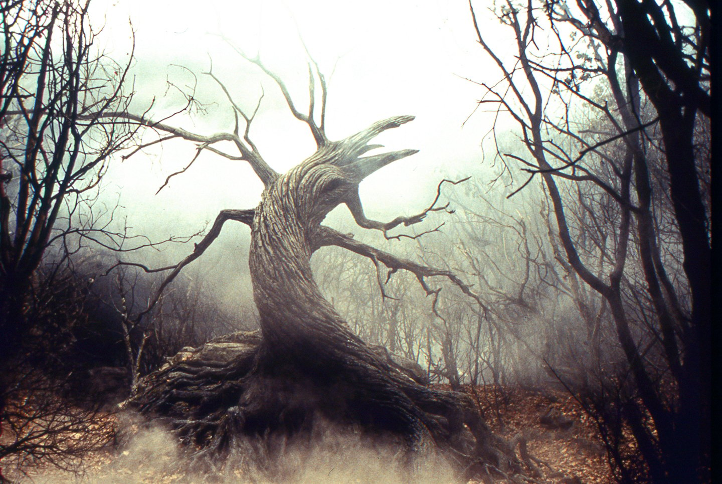 Сонная Лощина дерево мертвых