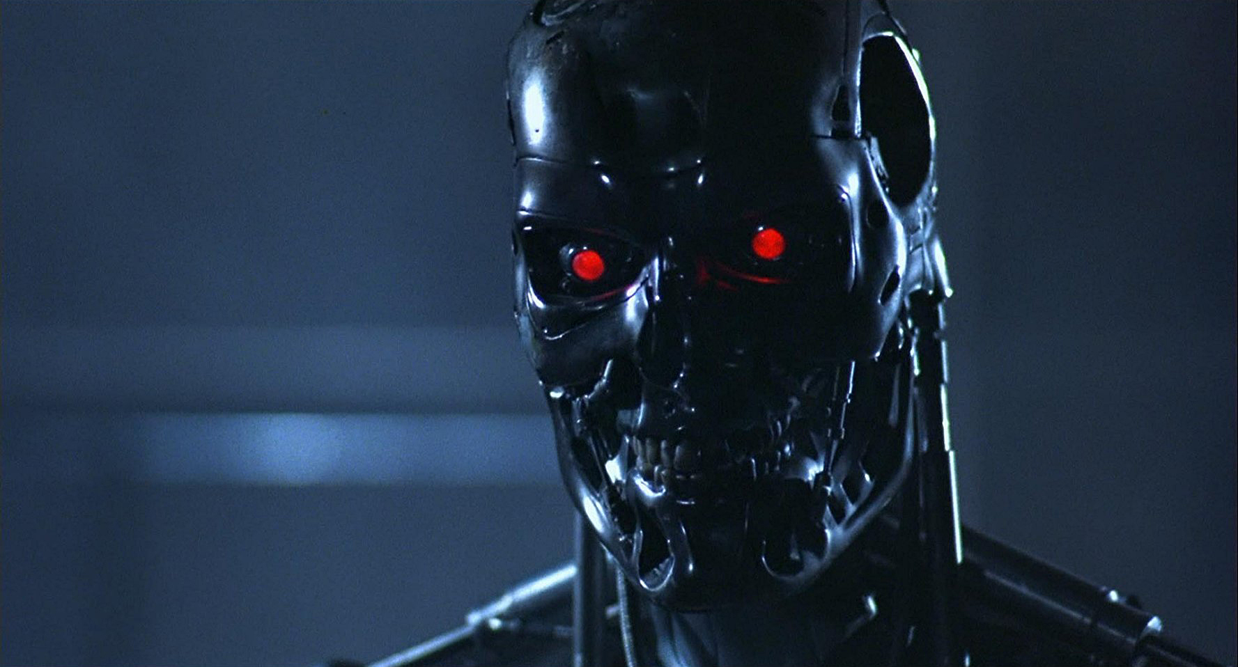 Terminator 5