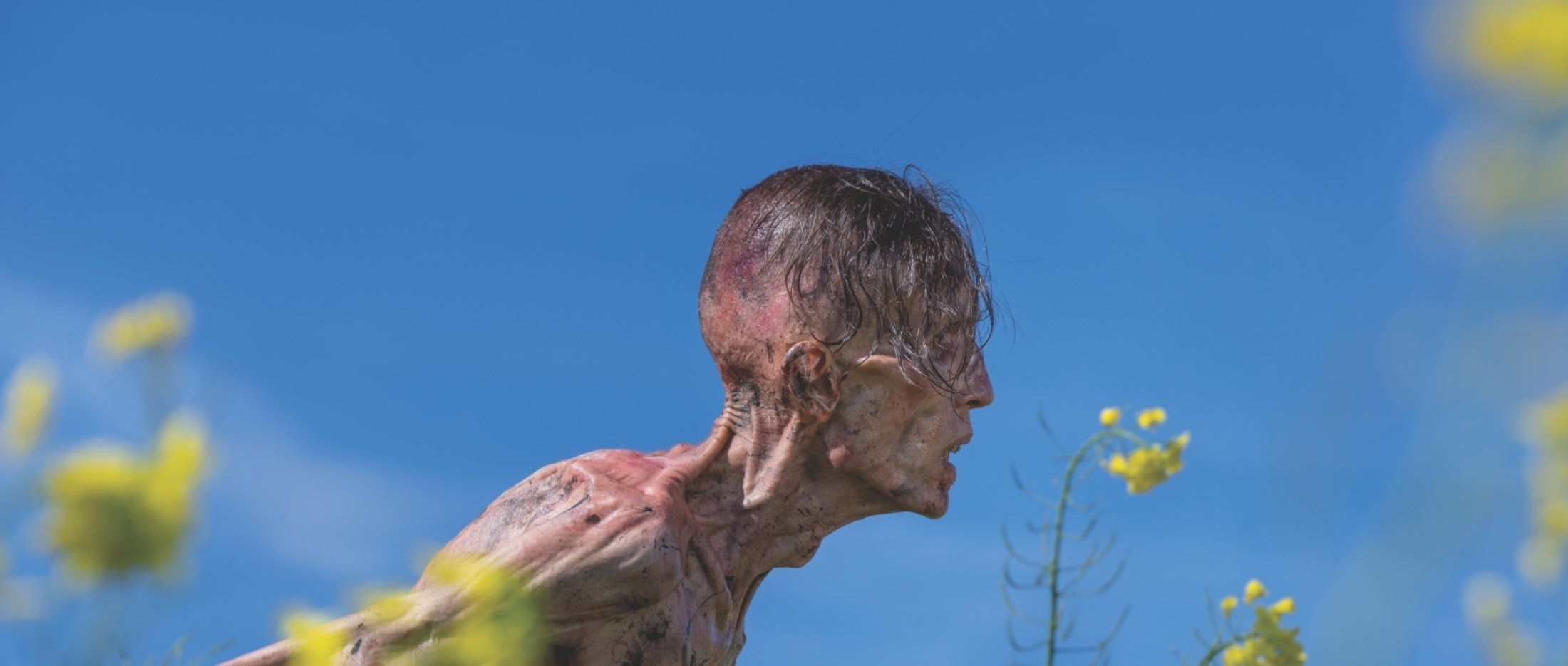 Inside the September 2025 Issue of American Cinematographer