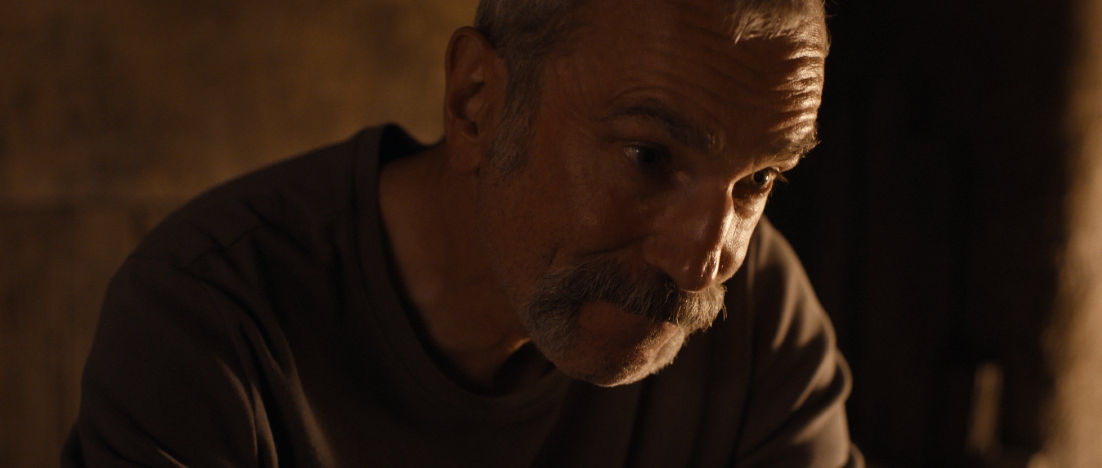 Anemone: Lighting the Landscape of the Face