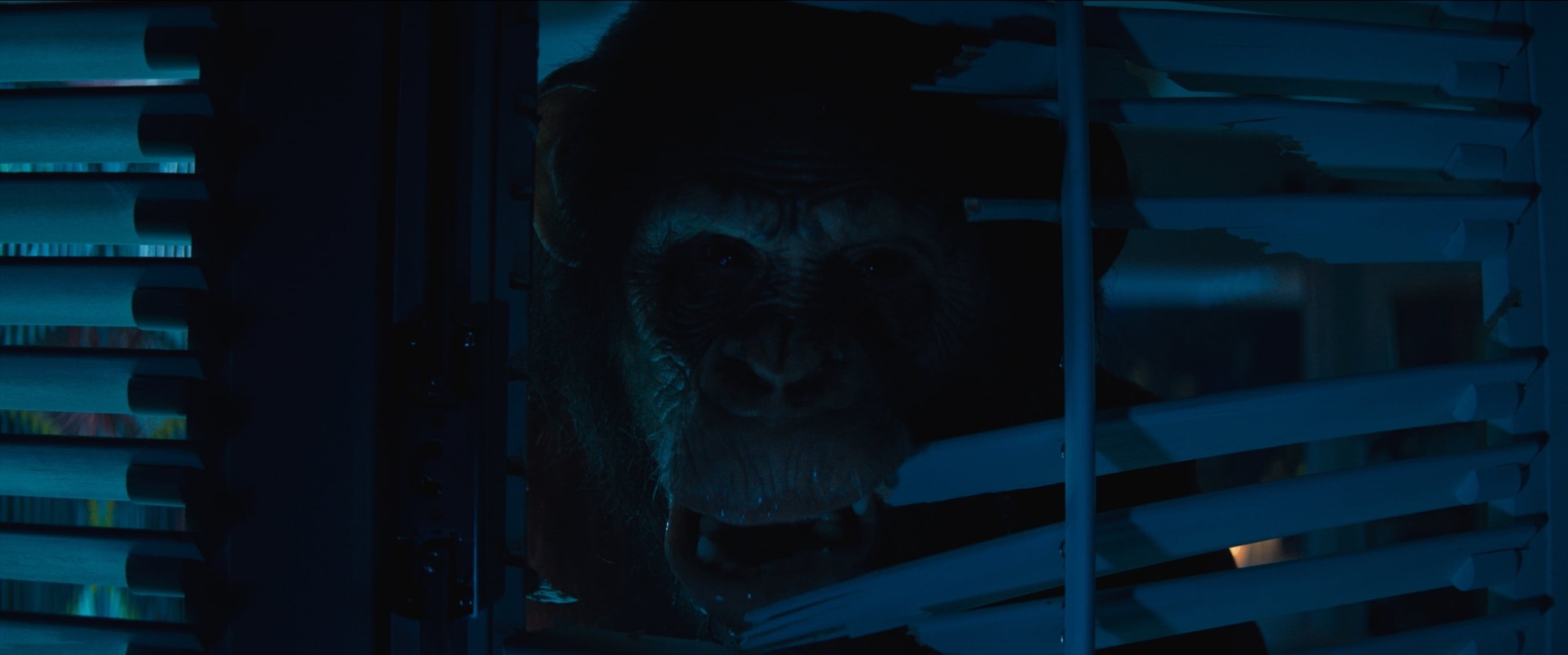 Primate: Transforming a Vacation Home Into a Deadly Cage