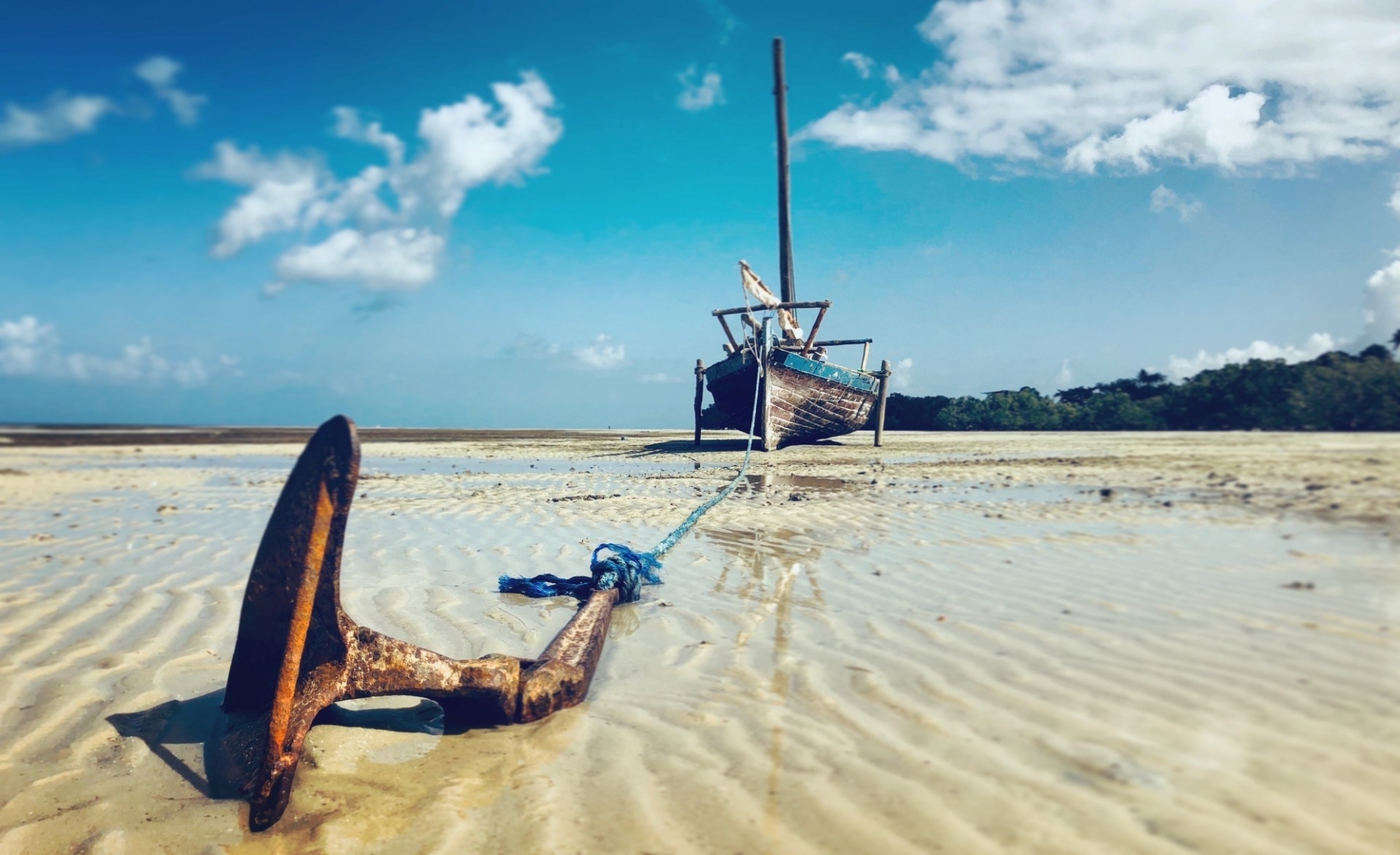 How 11 ASC Members Approach Still Photography