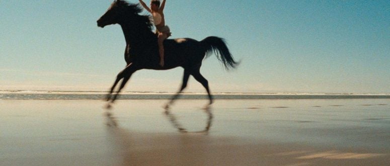 ShotDeck Drops: The Black Stallion