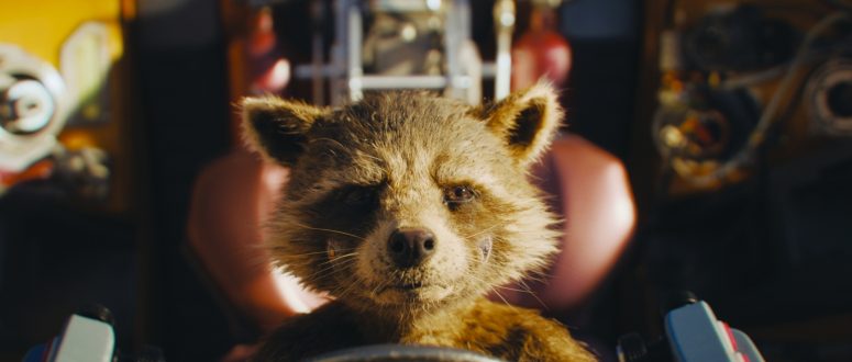 Action Star Panda' is our new favorite GIF –