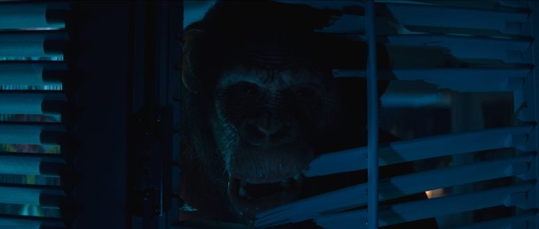 Primate: Transforming a Vacation Home Into a Deadly Cage