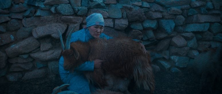 The Wolves Always Come At Night: Capturing a Family, and Their Animals, In Crisis