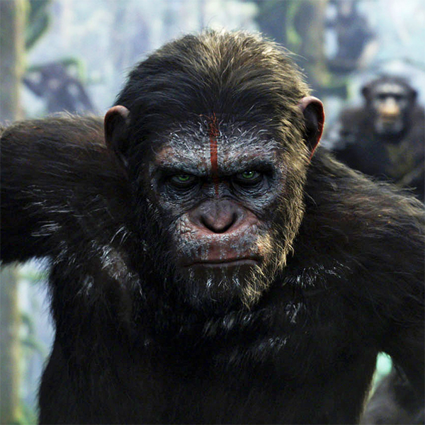 Dawn of the Planet of the Apes / Michael Seresin, BSC