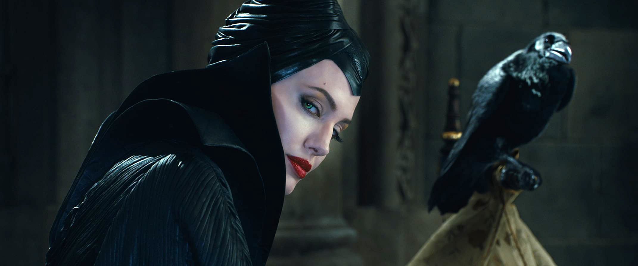 Maleficent A Witch And Her Bird